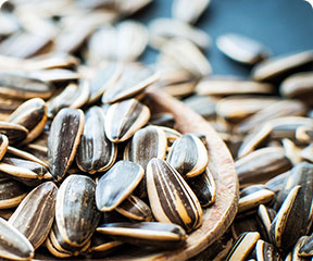 Sunflower Seeds