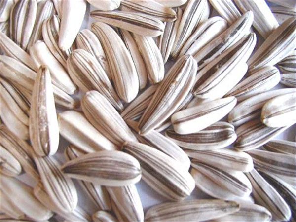 sunflower seeds