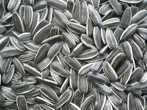 sunflower seeds