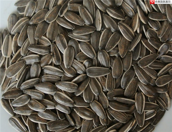 sunflower seeds