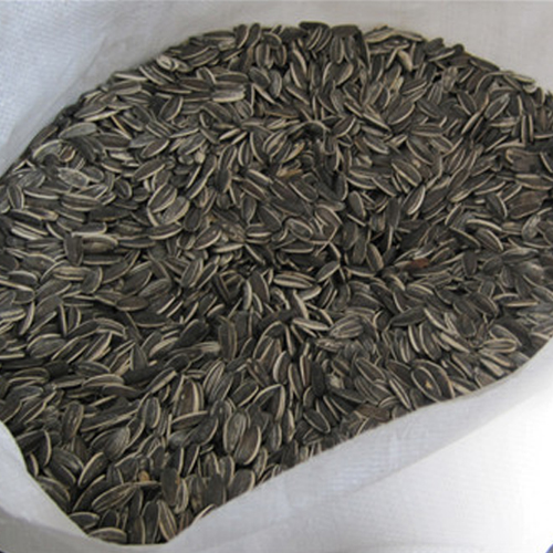 sunflower seeds bags