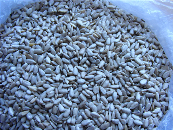 sunflower kernels