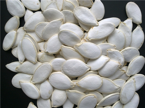 Pumpkin Seed