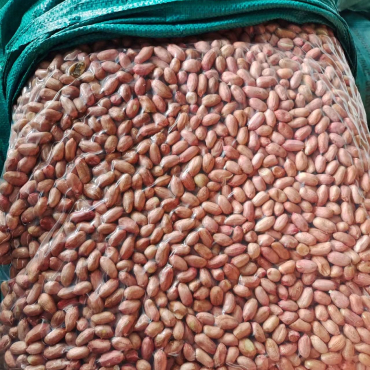 Peanut Kernels Packing